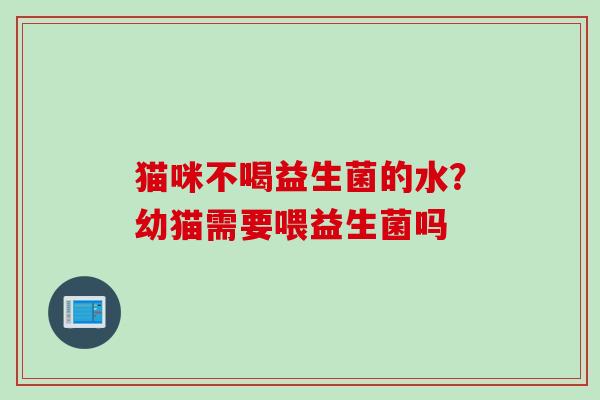猫咪不喝益生菌的水？幼猫需要喂益生菌吗