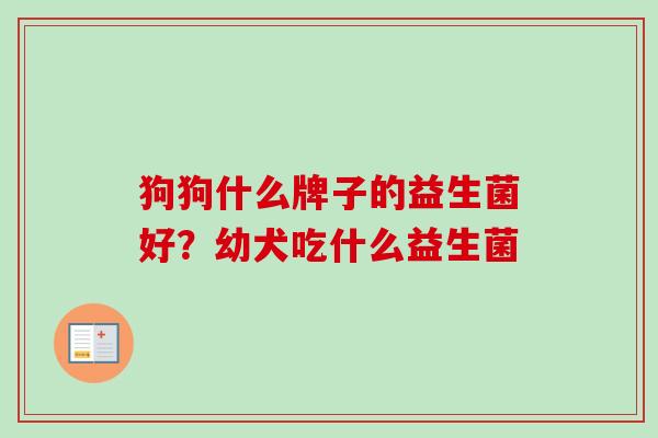 狗狗什么牌子的益生菌好？幼犬吃什么益生菌