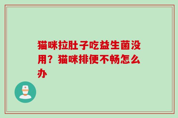 猫咪拉肚子吃益生菌没用?猫咪排便不畅怎么办 猫咪拉肚子吃益生菌没用?猫咪排便不畅怎么办