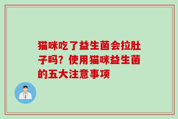 猫咪吃了益生菌会拉肚子吗？使用猫咪益生菌的五大注意事项