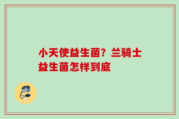 小天使益生菌？兰骑士益生菌怎样到底