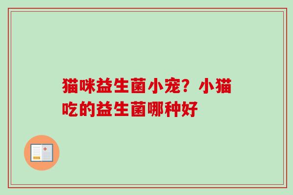 猫咪益生菌小宠?小猫吃的益生菌哪种好 猫咪益生菌小宠?小猫吃的益生菌哪种好