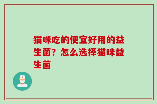 猫咪吃的便宜好用的益生菌？怎么选择猫咪益生菌