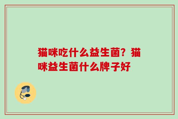 猫咪吃什么益生菌？猫咪益生菌什么牌子好