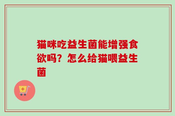 猫咪吃益生菌能增强吗？怎么给猫喂益生菌