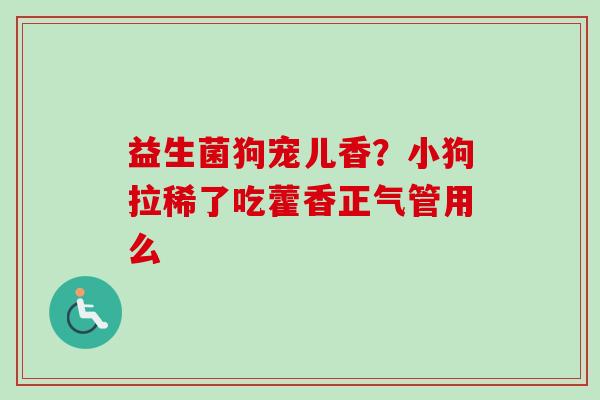 益生菌狗宠儿香？小狗拉稀了吃藿香正气管用么
