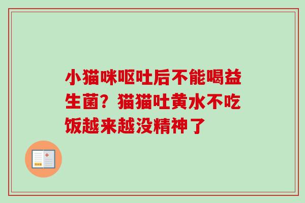 小猫咪后不能喝益生菌？猫猫吐黄水不吃饭越来越没精神了