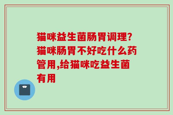 猫咪益生菌肠胃调理？猫咪肠胃不好吃什么药管用,给猫咪吃益生菌有用