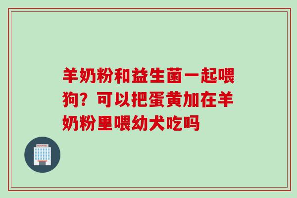 羊奶粉和益生菌一起喂狗？可以把蛋黄加在羊奶粉里喂幼犬吃吗