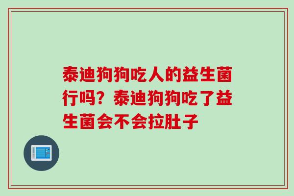 泰迪狗狗吃人的益生菌行吗？泰迪狗狗吃了益生菌会不会拉肚子