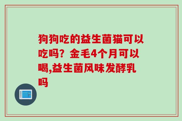 狗狗吃的益生菌猫可以吃吗？金毛4个月可以喝,益生菌风味发酵乳吗