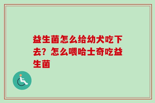 益生菌怎么给幼犬吃下去？怎么喂哈士奇吃益生菌
