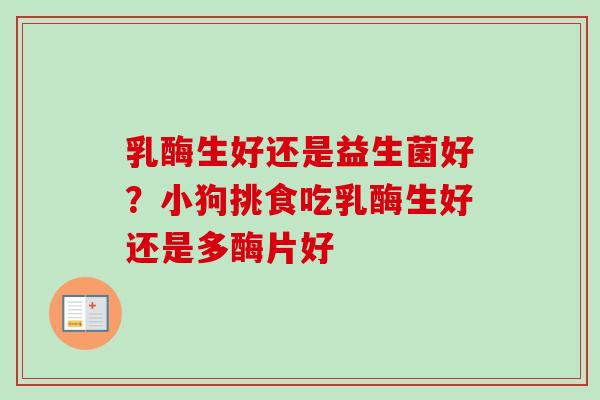 乳酶生好还是益生菌好？小狗挑食吃乳酶生好还是多酶片好