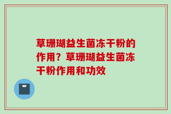 草珊瑚益生菌冻干粉的作用?草珊瑚益生菌冻干粉作用和功效 草珊瑚益生菌冻干粉的作用?草珊瑚益生菌冻干粉作用和功效