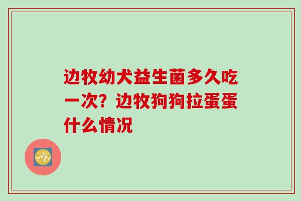 边牧幼犬益生菌多久吃一次？边牧狗狗拉蛋蛋什么情况