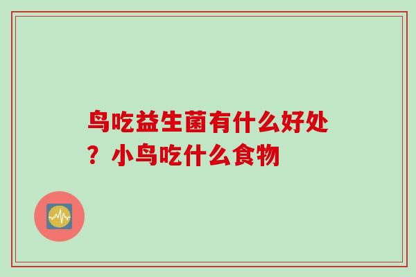 鸟吃益生菌有什么好处?小鸟吃什么食物 鸟吃益生菌有什么好处?小鸟吃什么食物