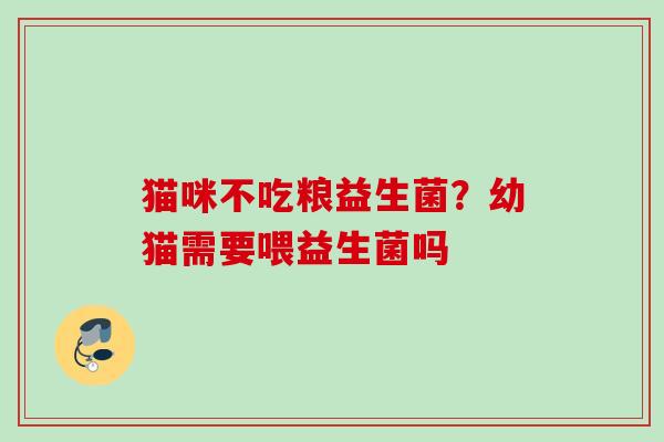 猫咪不吃粮益生菌？幼猫需要喂益生菌吗