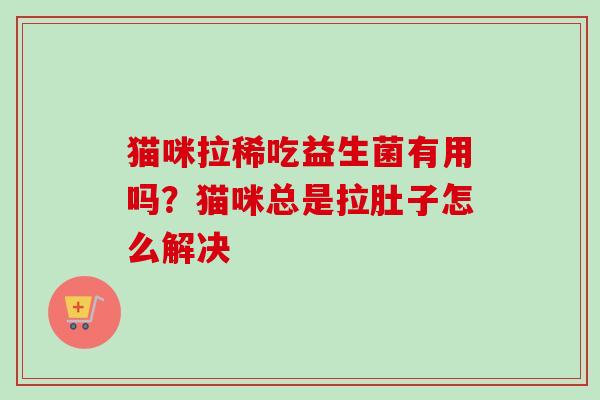 猫咪拉稀吃益生菌有用吗？猫咪总是拉肚子怎么解决