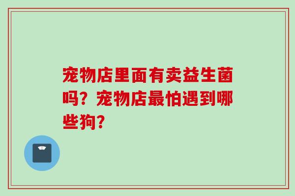 宠物店里面有卖益生菌吗？宠物店怕遇到哪些狗？