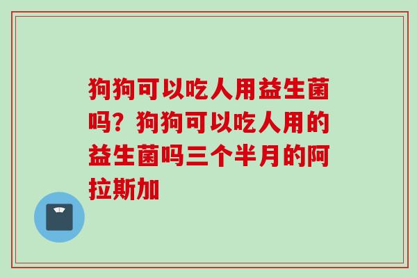 狗狗可以吃人用益生菌吗？狗狗可以吃人用的益生菌吗三个半月的阿拉斯加