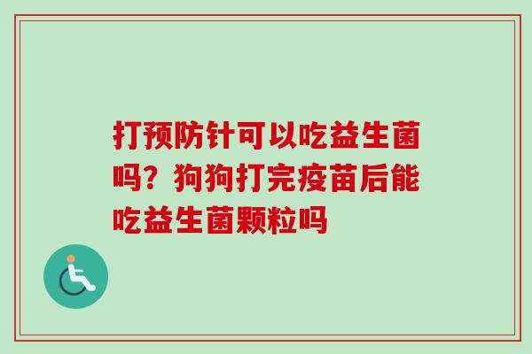 打针可以吃益生菌吗?狗狗打完疫苗后能吃益生菌颗粒吗 打针可以吃益生菌吗?狗狗打完疫苗后能吃益生菌颗粒吗