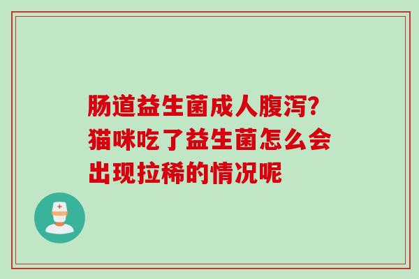 肠道益生菌成人？猫咪吃了益生菌怎么会出现拉稀的情况呢