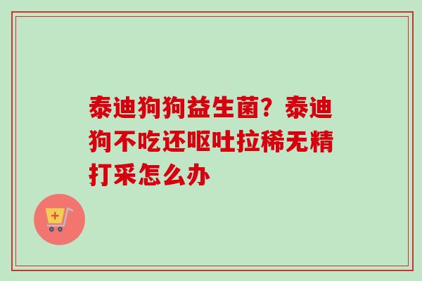 泰迪狗狗益生菌？泰迪狗不吃还拉稀无精打采怎么办