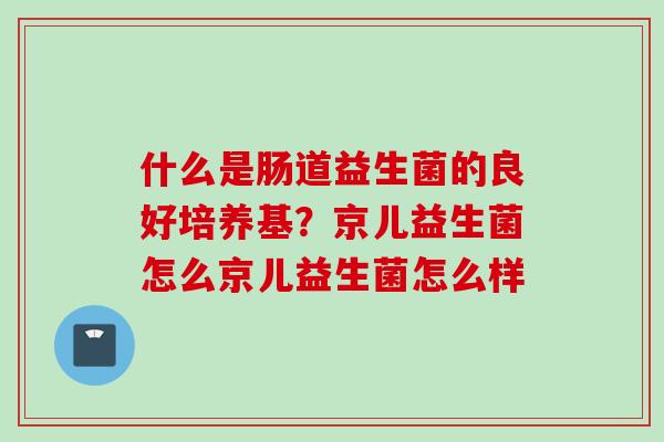 什么是肠道益生菌的良好培养基？京儿益生菌怎么京儿益生菌怎么样