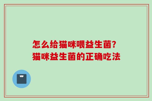 怎么给猫咪喂益生菌？猫咪益生菌的正确吃法