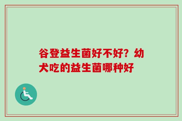 谷登益生菌好不好？幼犬吃的益生菌哪种好