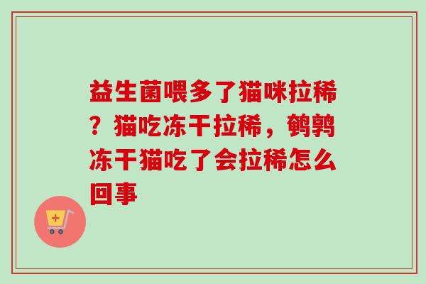 益生菌喂多了猫咪拉稀？猫吃冻干拉稀，鹌鹑冻干猫吃了会拉稀怎么回事