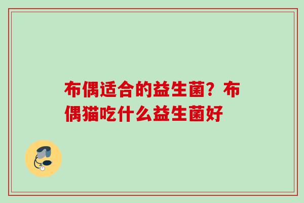 布偶适合的益生菌?布偶猫吃什么益生菌好 布偶适合的益生菌?布偶猫吃什么益生菌好