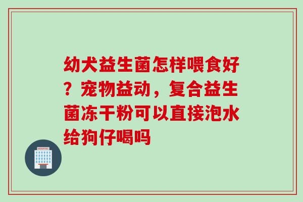 幼犬益生菌怎样喂食好？宠物益动，复合益生菌冻干粉可以直接泡水给狗仔喝吗
