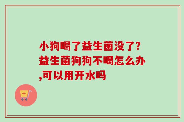 小狗喝了益生菌没了?益生菌狗狗不喝怎么办,可以用开水吗 小狗喝了益生菌没了?益生菌狗狗不喝怎么办,可以用开水吗