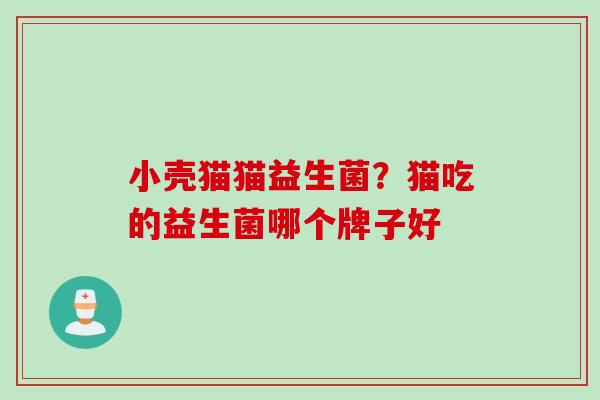 小壳猫猫益生菌？猫吃的益生菌哪个牌子好