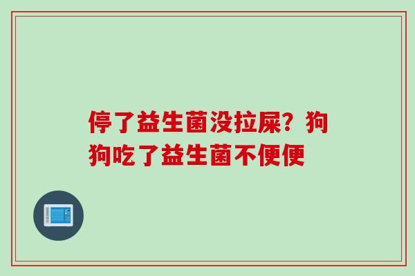 停了益生菌没拉屎？狗狗吃了益生菌不便便