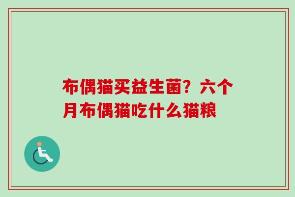 布偶猫买益生菌?六个月布偶猫吃什么猫粮 布偶猫买益生菌?六个月布偶猫吃什么猫粮