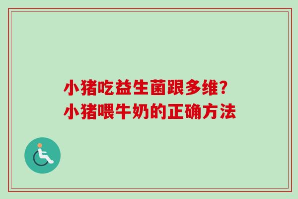 小猪吃益生菌跟多维?小猪喂牛奶的正确方法 小猪吃益生菌跟多维?小猪喂牛奶的正确方法