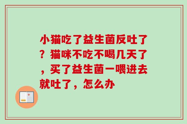 小猫吃了益生菌反吐了?猫咪不吃不喝几天了,买了益生菌一喂进去就吐了,怎么办 小猫吃了益生菌反吐了?猫咪不吃不喝几天了,买了益生菌一喂进去就吐了,怎么办