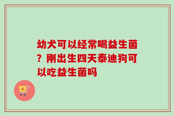 幼犬可以经常喝益生菌?刚出生四天泰迪狗可以吃益生菌吗 幼犬可以经常喝益生菌?刚出生四天泰迪狗可以吃益生菌吗