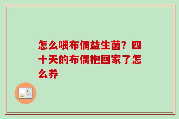 怎么喂布偶益生菌?四十天的布偶抱回家了怎么养 怎么喂布偶益生菌?四十天的布偶抱回家了怎么养