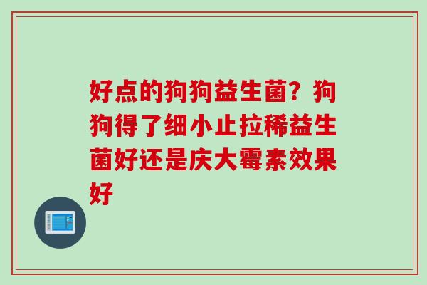 好点的狗狗益生菌？狗狗得了细小止拉稀益生菌好还是庆大霉素效果好