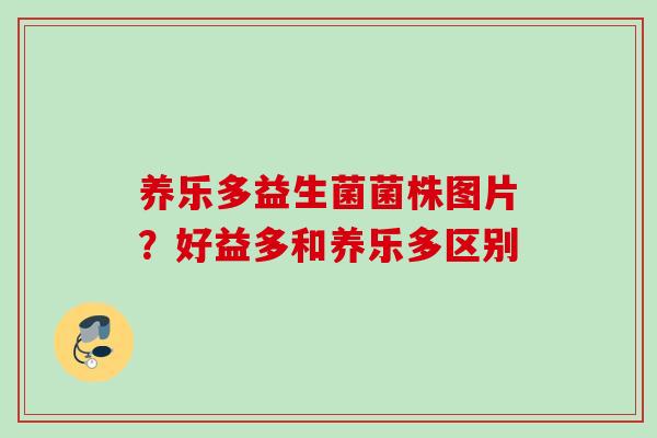 养乐多益生菌菌株图片?好益多和养乐多区别 养乐多益生菌菌株图片?好益多和养乐多区别