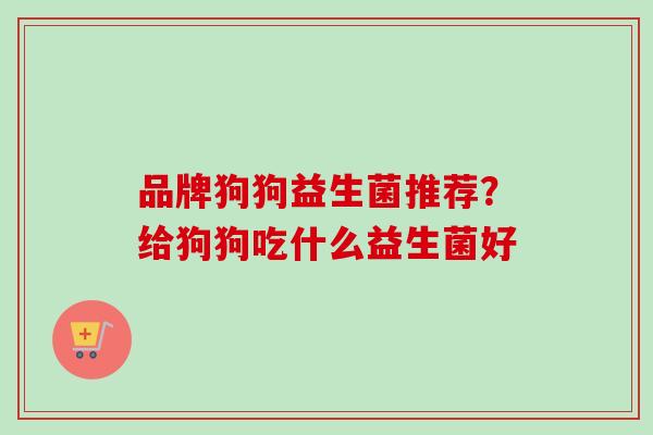 品牌狗狗益生菌推荐?给狗狗吃什么益生菌好 品牌狗狗益生菌推荐?给狗狗吃什么益生菌好