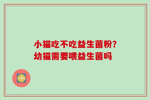 小猫吃不吃益生菌粉？幼猫需要喂益生菌吗