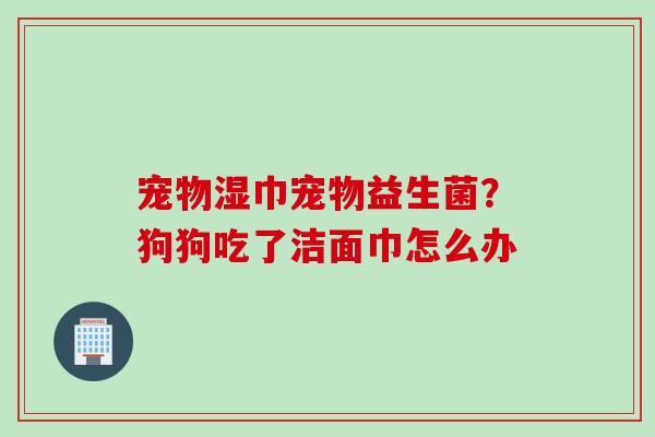 宠物湿巾宠物益生菌?狗狗吃了洁面巾怎么办 宠物湿巾宠物益生菌?狗狗吃了洁面巾怎么办