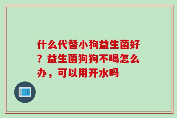 什么代替小狗益生菌好?益生菌狗狗不喝怎么办,可以用开水吗 什么代替小狗益生菌好?益生菌狗狗不喝怎么办,可以用开水吗