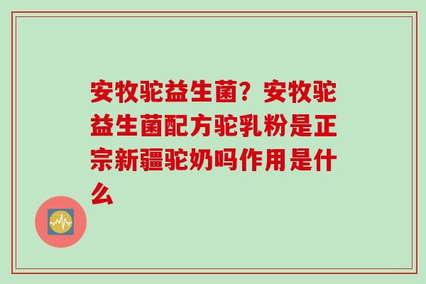 安牧驼益生菌？安牧驼益生菌配方驼乳粉是正宗新疆驼奶吗作用是什么
