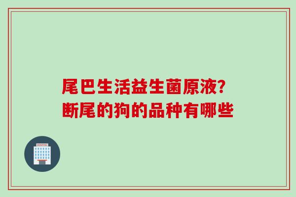 尾巴生活益生菌原液?断尾的狗的品种有哪些 尾巴生活益生菌原液?断尾的狗的品种有哪些