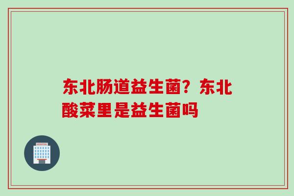 东北肠道益生菌？东北酸菜里是益生菌吗